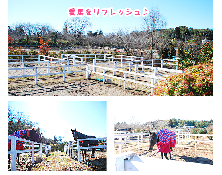 「のんびり、ゆったり」がAXISスタイル